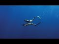 Finding The Love for Freediving Again