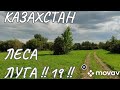 2023 09 РК !! Леса Луга !! 19 !! Павлодарская область !!