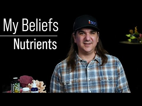My Beliefs: Nutrients, 17 Years, and How I Approach Nitrate and Phosphate in My Own Tanks.