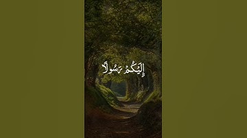 سورة المزمل 🤍 #قرآن