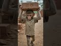 #viral #cute #emotional #monkey #babymonkey  #sad  #sadmonkey