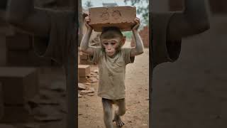 #viral #cute #emotional #monkey #babymonkey #sad #sadmonkey