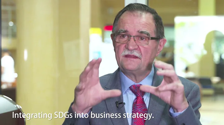 SDGs and business strategy
