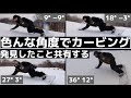 ダブルキャンバーで【完全ダック】から【両足前振り】試したら、めっちゃ発見があったから共有します。/バランスの取り方/ノーズの効き/難易度/板の立て方の違い/ターン孤の均等感etc