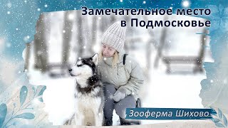 Замечательное и удивительное место в Подмосковье | Парк отдыха - Зооферма Шихово