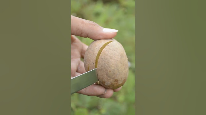 Ripe Sapodilla Fruit Cutting #shorts #fruits