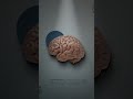 3 مراحل بيمر بيهم أي عميل قبل ما يشتري منك لازم تفهمهم 3 مراحل بيمر بيهم أي عميل قبل ما يشتري منك لازم تفهمهم