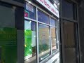 Sparkling Clean Windows = Spring Vibes 🌞🐦