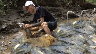 Hunting wild fish | Using a pump, pumping water outside the natural lake, catching a lot fish Ep17