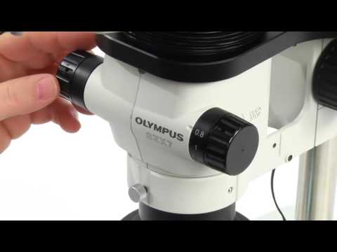 How to Set Up a Basic Stereo Microscope