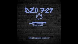Dzo 729 Number Number Session 17