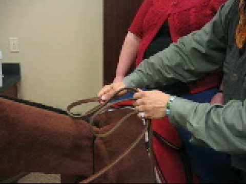 Steve Lantvit "Cutters Cross" Reining Demo