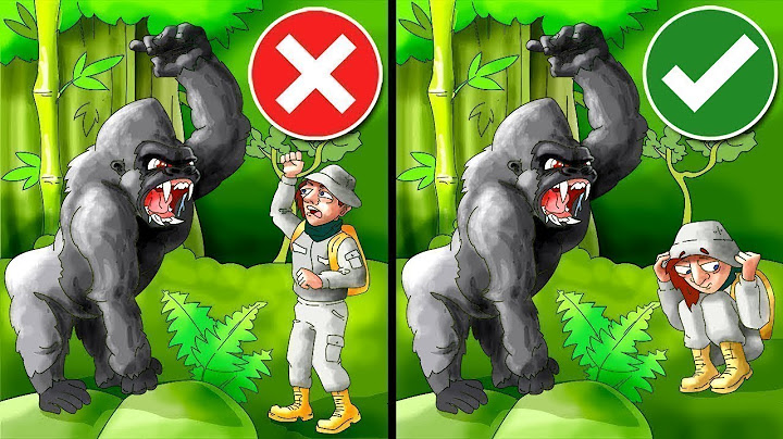 Sobrevive A Ataques De Animales Con Estos Consejos De Supervivencia