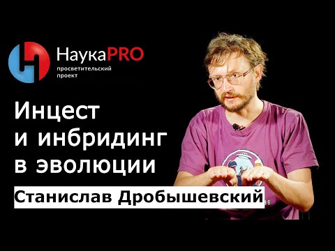 Video: Инбридинг гомозиготалуулукту кантип жогорулатат?