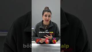 Kısırlaşmadan önce test yapılır mı?