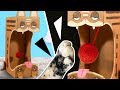 DIY Cat Toy from Cardboard | Easy & Fun Craft Projects for Cats