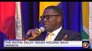 The Digital Delay: Issues Holding Back Jamaica | Business Day