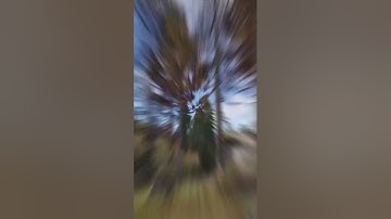 New Rust server! Rustitorium 2x | US Main | Bi Weekly | Medium         Ip connect in bio!