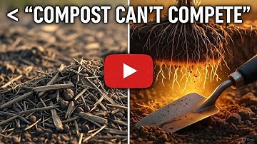 They Lied About Mulch—This Forgotten Layer Feeds Soil Faster Than Compost