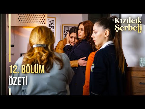 Kızılcık Şerbeti 12. Bölüm Özeti