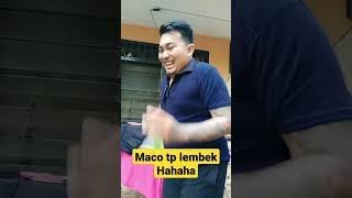 Cowo Maco Tp Ngondekkomedikocakcowo Ngondeklucungakak