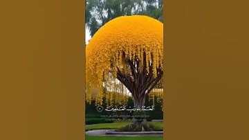 أعظم سورة 👑 | الشفاء والبركة | تلاوة تلامس الروح لسورة الفاتحة | Quran - Surah Al Fatiha