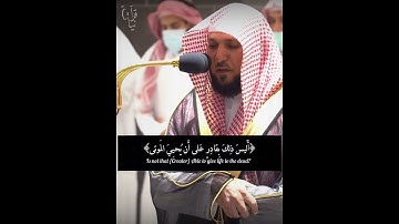 ﴿أَيَحسَبُ الإِنسانُ أَن يُترَكَ سُدًى﴾ الشيخ ماهر المعيقلي يختتم سورة القيامة 🤍..