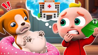 What's Wrong with Pet's Belly - Pet Care Song - Baby Songs - Kids Song & Nursery Rhymes