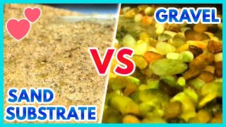 Gravel vs. Sand Fish Tank Substrate