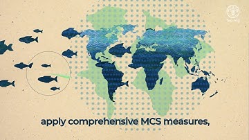 FAO’s global Capacity Development Programme to support countries to combat IUU fishing