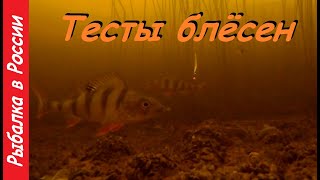 Ловля спортивного окуня на блесну. Тест зимних блёсен. Подводная съёмка.