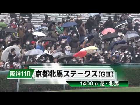 2023年 京都牝馬ステークス（GIII）ファンファーレ
