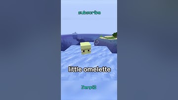 Invisible Shulker Secret