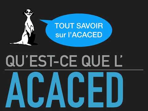 Vidéo: Résultats du sondage: Quelle est la formation des chiens pour les lecteurs de Vetstreet?