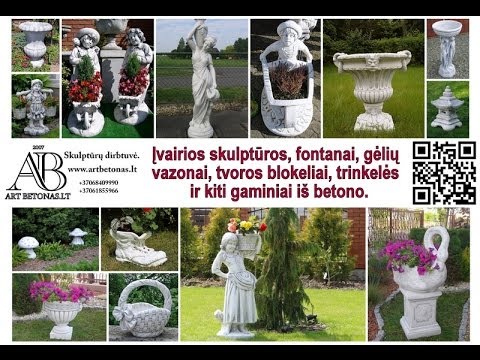 Video: Alksnio atpažinimas – alksnio atpažinimas kraštovaizdyje