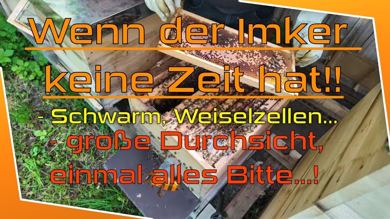 Der Schwarm 2023 S01E03 German 720p WEB x264 FSX