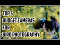 Best Camera for Bird Photography 2021 | Best Budget Camera for Bird Photography And Videography