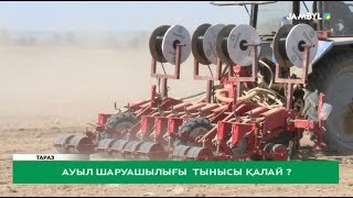 Ауыл шаруашылығы тынысы қалай?