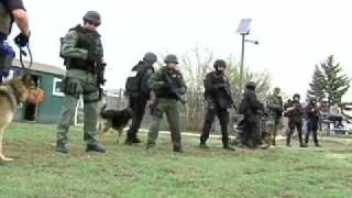K9 Training