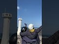 명품 스타일 비누꽃 카네이션 용돈박스