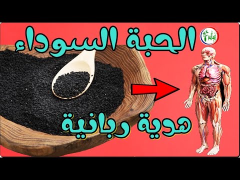 فيديو: أفضل الفيتامينات الطبيعية للكلاب