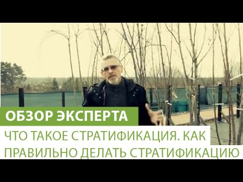 Что такое стратификация. Как правильно делать стратификацию