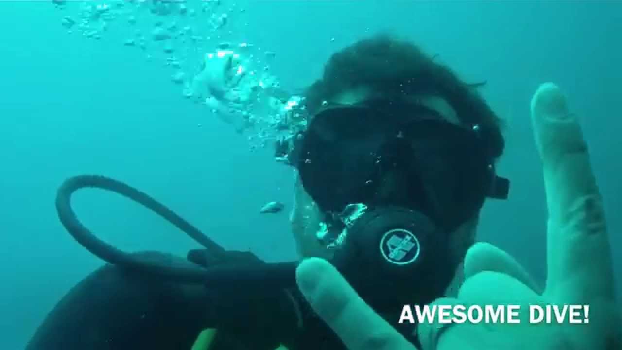 Whale Shark at Coron YouTube