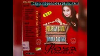 Rosa Amelia - Pelarian Cinta (cipt.Kulo Gandrunk)