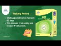 Weeds Stealing Nutrients from Your Maize? Rozzer Delivers Powerful, Selective Weed Control