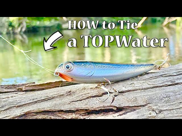 CLEAR Topwater Lure (NO PAINT) Catches Bass! 