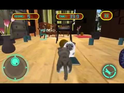 Real Pet Cat 3D simulator