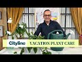 How to take care of your plants while you&#39;re on vacation