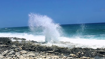Aqua Marine