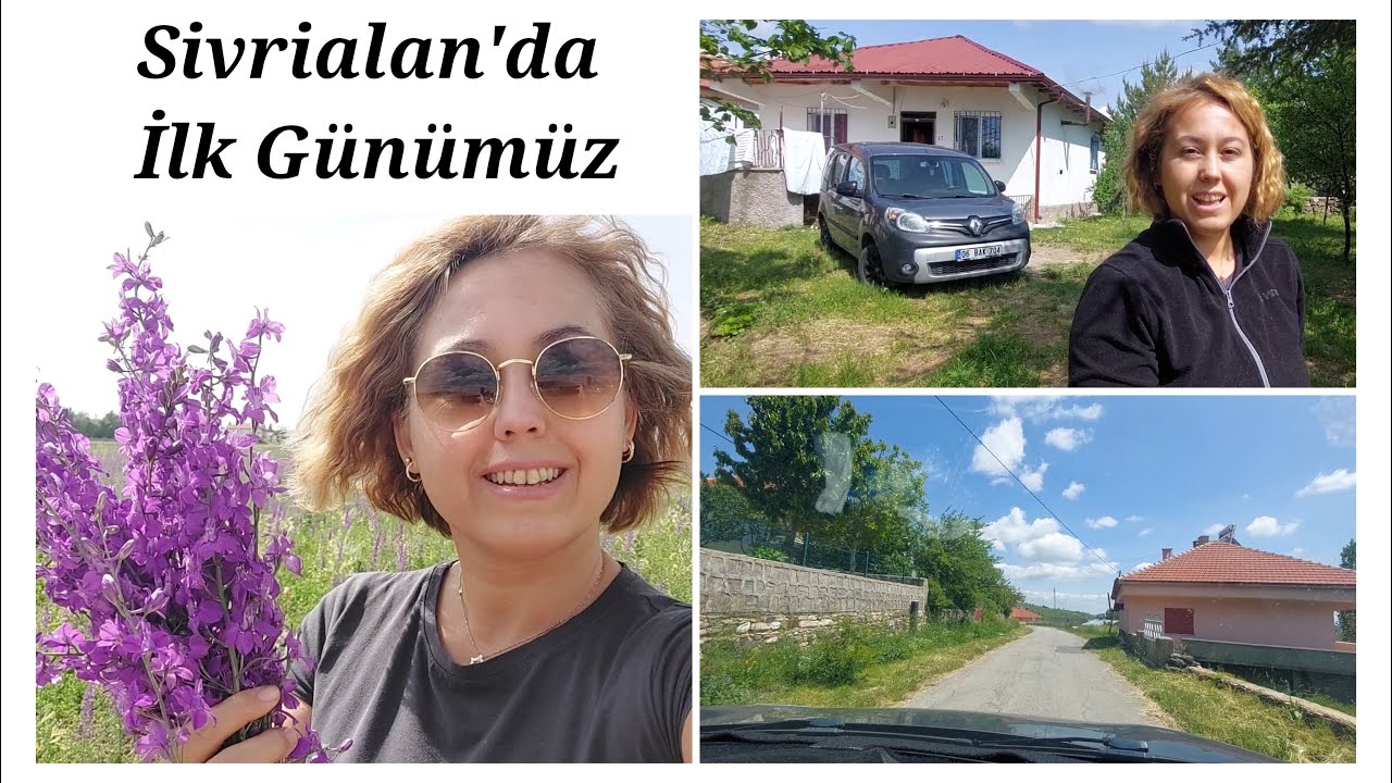 Sivas Şarkışla Sivrialan Köyümüzde İlk Günümüz Nasıl Geçti? | Mor Çiçekler, Yağlı Çörek, Dev Mantar